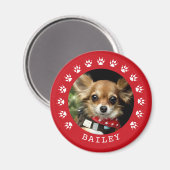 赤い前刷りフレームペット写真 マグネット (正面/裏面)