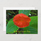 赤い唇 シーズンポストカード (正面/裏面)