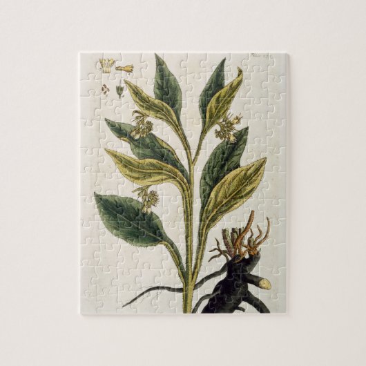 赤い唐辛子(色の版木、銅版、版画) ジグソーパズル (縦)