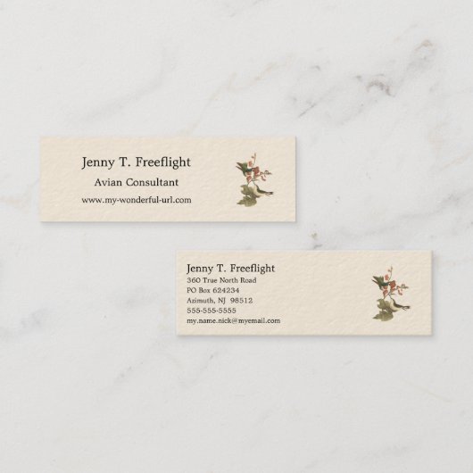 赤い喉を持った、またはルビーの喉を持ったハミングバード スキニー名刺 (正面/裏面)