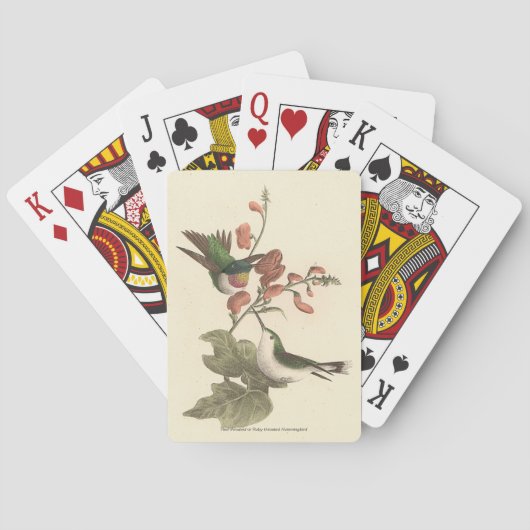 赤い喉を持った、またはルビーの喉を持ったハミングバード トランプ (裏面)