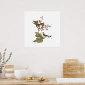 赤い喉を持った、またはルビーの喉を持ったハミングバード ポスター (キッチン)