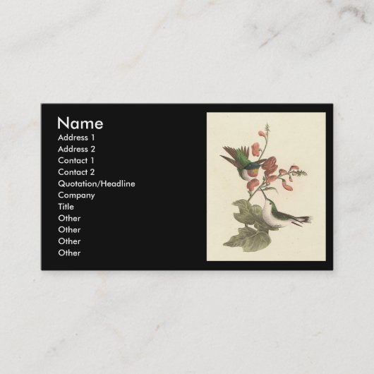 赤い喉を持った、またはルビーの喉を持ったハミングバード 名刺 (正面)