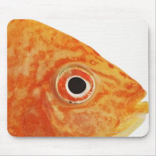 赤い執事の魚 マウスパッド