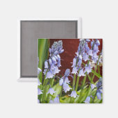 赤い壁の前のベルフラワー マグネット (正面/裏面)