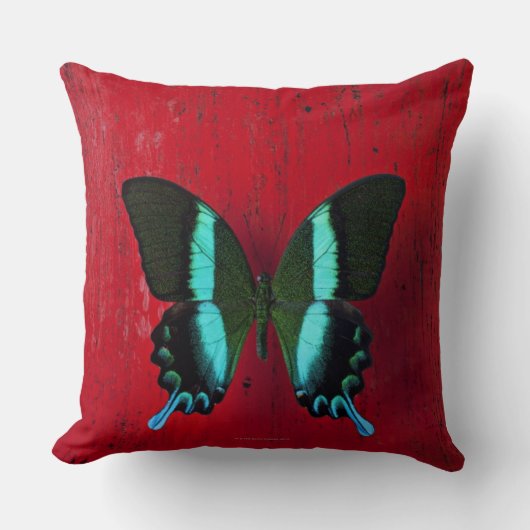 赤い壁の黒くおよび青の蝶 クッション (正面)