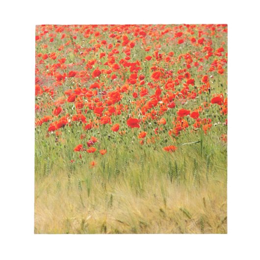 赤い夏の花 ノートパッド (正面)