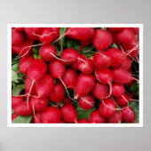 赤い大根 ポスター (正面)