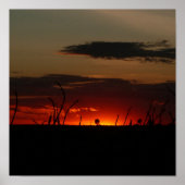 赤い太陽 ポスター (正面)