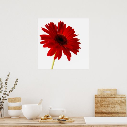 赤い婦人 ポスター (キッチン)