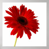 赤い婦人 ポスター (正面)