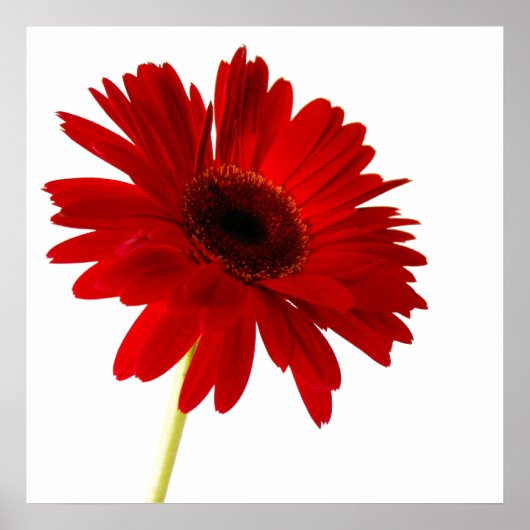 赤い婦人 ポスター (正面)