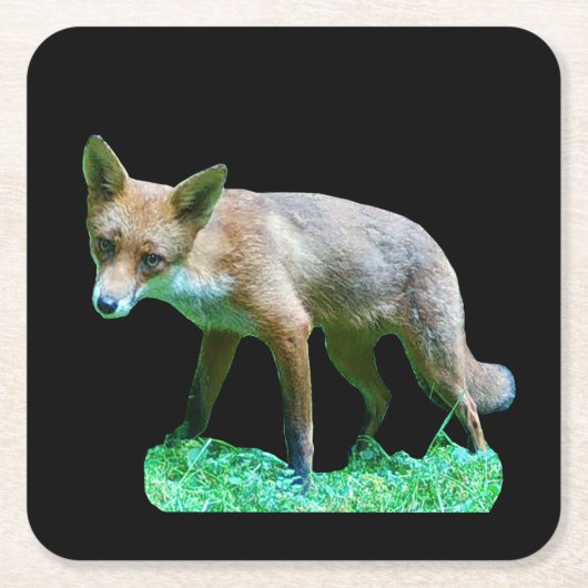 赤い子ギツネの森の野生動物の森のシーン かわいい スクエアペーパーコースター (正面)