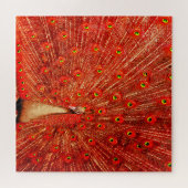 赤い孔雀が赤い羽を飾り ジグソーパズル (横)