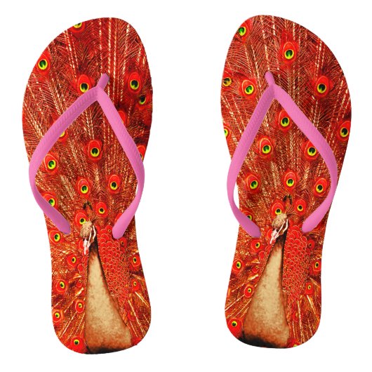赤い孔雀が赤い羽を飾り ビーチサンダル (ソール)