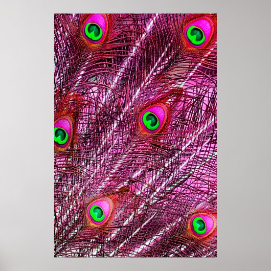 赤い孔雀の羽の色の羽毛 ポスター (正面)
