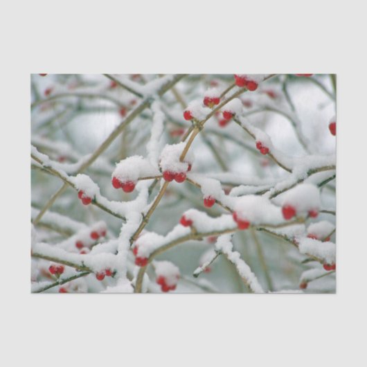 赤い実の冬の枝と雪 薄葉紙 (正面)
