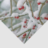 赤い実の冬の枝と雪 薄葉紙 (詳細)