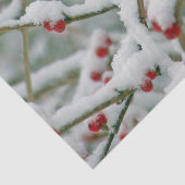 赤い実の冬の枝と雪 薄葉紙 (詳細)