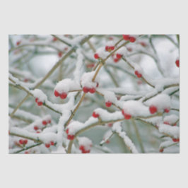 赤い実の冬の枝と雪 薄葉紙