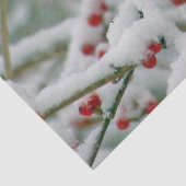 赤い実の冬の枝と雪 薄葉紙 (詳細)