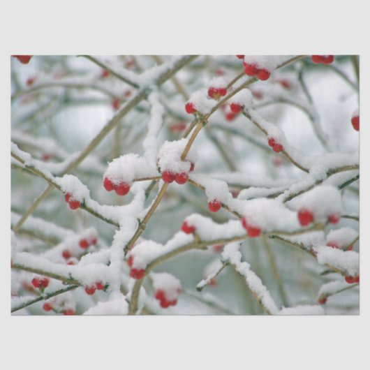 赤い実の冬の枝と雪 薄葉紙 (正面)