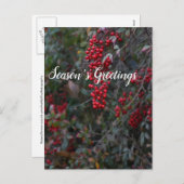 赤い実り, クリスマス・グリーティング シーズンポストカード (正面/裏面)