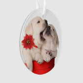 赤い容器のよくはしゃぐなクリスマスの子犬 オーナメント (正面)