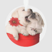 赤い容器のよくはしゃぐなクリスマスの子犬 オーナメント (裏面)