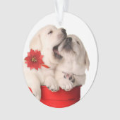 赤い容器のよくはしゃぐなクリスマスの子犬 オーナメント (正面)