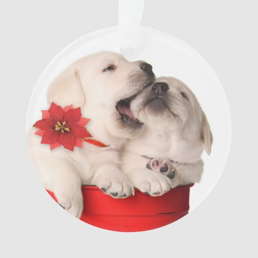 赤い容器のよくはしゃぐなクリスマスの子犬 オーナメント (正面)