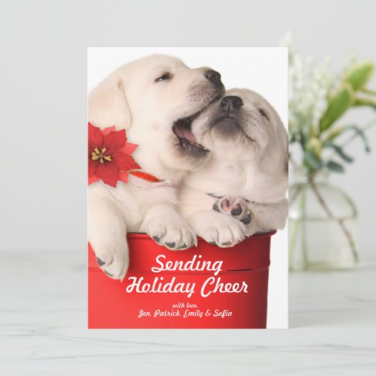 赤い容器のよくはしゃぐなクリスマスの子犬 シーズンカード (スタンド正面)