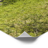 赤い小屋とフェンスの付いた牧草地 ポスター (角)