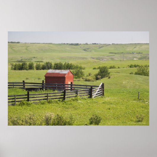 赤い小屋とフェンスの付いた牧草地 ポスター (正面)