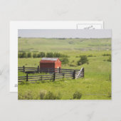 赤い小屋とフェンスの付いた牧草地 ポストカード (正面/裏面)