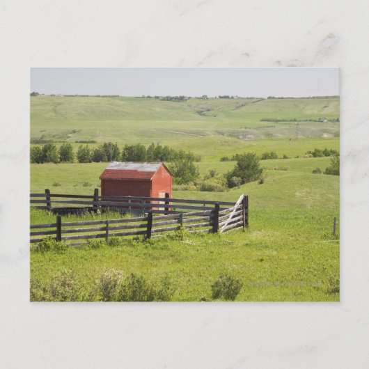 赤い小屋とフェンスの付いた牧草地 ポストカード (正面)