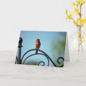 赤い小鳥からの母の一日の挨拶 カード (黄色い花)