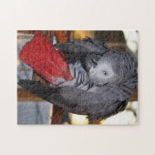 赤い尾を搭載する適用範囲が広いコンゴのアフリカ灰色のオウム ジグソーパズル (横)