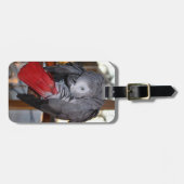 赤い尾を搭載する適用範囲が広いコンゴのアフリカ灰色のオウム ラゲッジタグ (正面横)