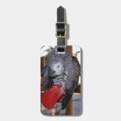 赤い尾を搭載する適用範囲が広いコンゴのアフリカ灰色のオウム ラゲッジタグ (正面縦)