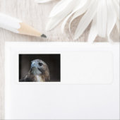 赤い尾タカの住所シール ラベル (インサイチュ)