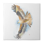 赤い尾タカの芸術 タイル (正面)