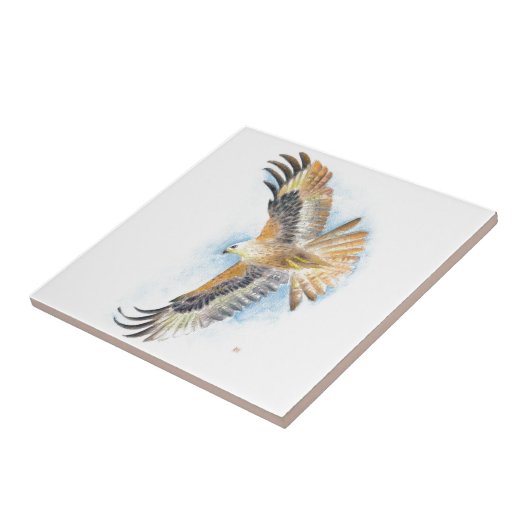 赤い尾タカの芸術 タイル (側面)