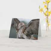 "赤い尾タカ"の鳥の写真の挨拶状 カード (黄色い花)