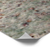 赤い屋根付き橋 ポスター (角)