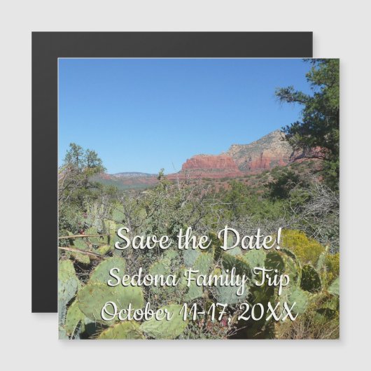 赤い岩とサボテンI (正面/裏面)