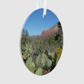 赤い岩とサボテンI オーナメント (正面)