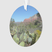 赤い岩とサボテンI オーナメント (正面)