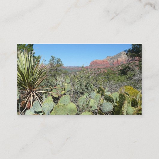 赤い岩とサボテンI 名刺 (裏面)