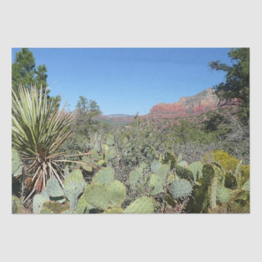 赤い岩とサボテンI 薄葉紙 (正面)